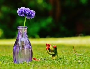 frog figurine beside purple bottle with flower thumbnail
