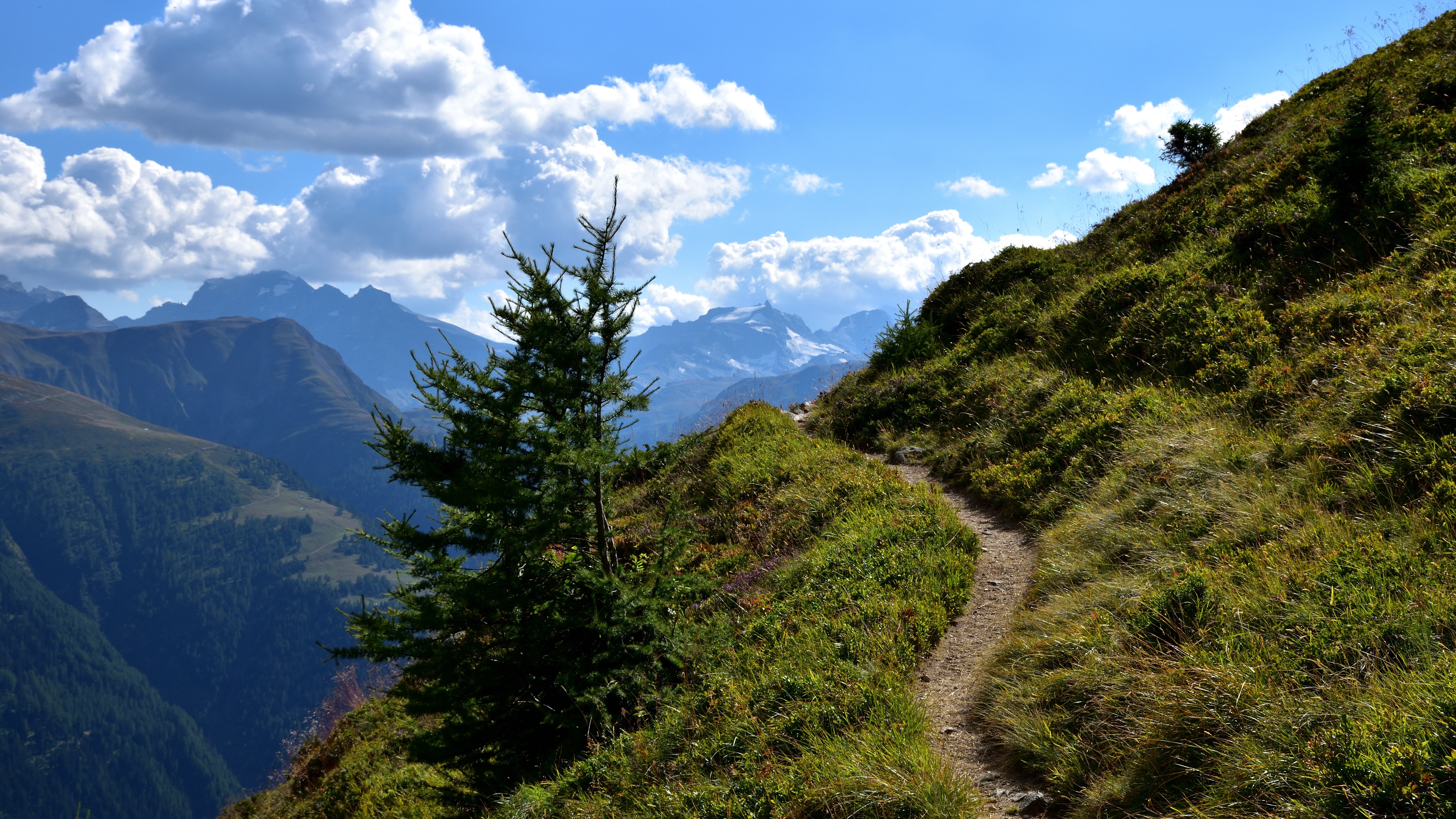 green grass covered mountain