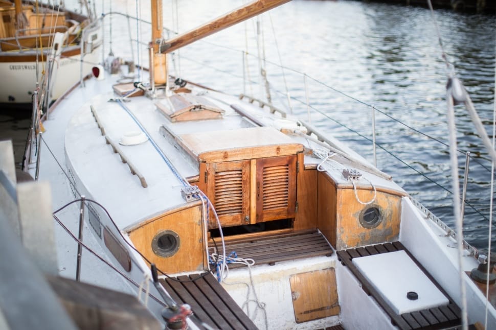 white and brown yacht preview