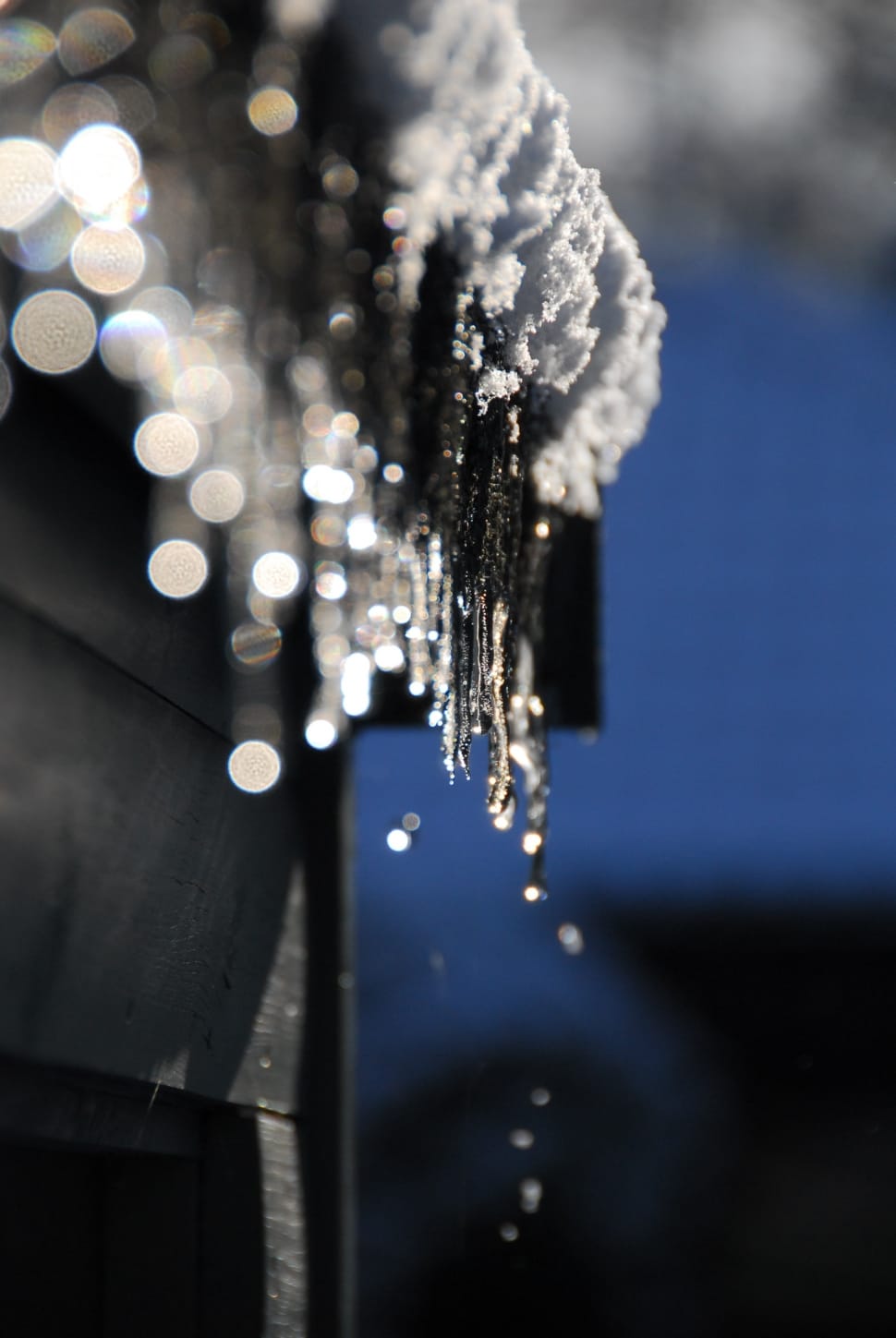 selective photo of icicle spears preview