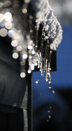 selective photo of icicle spears thumbnail