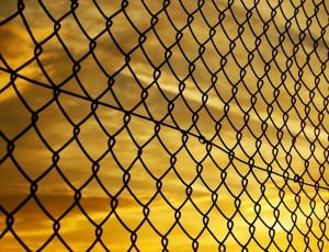 shallow focus photography of cyclone wire fence thumbnail