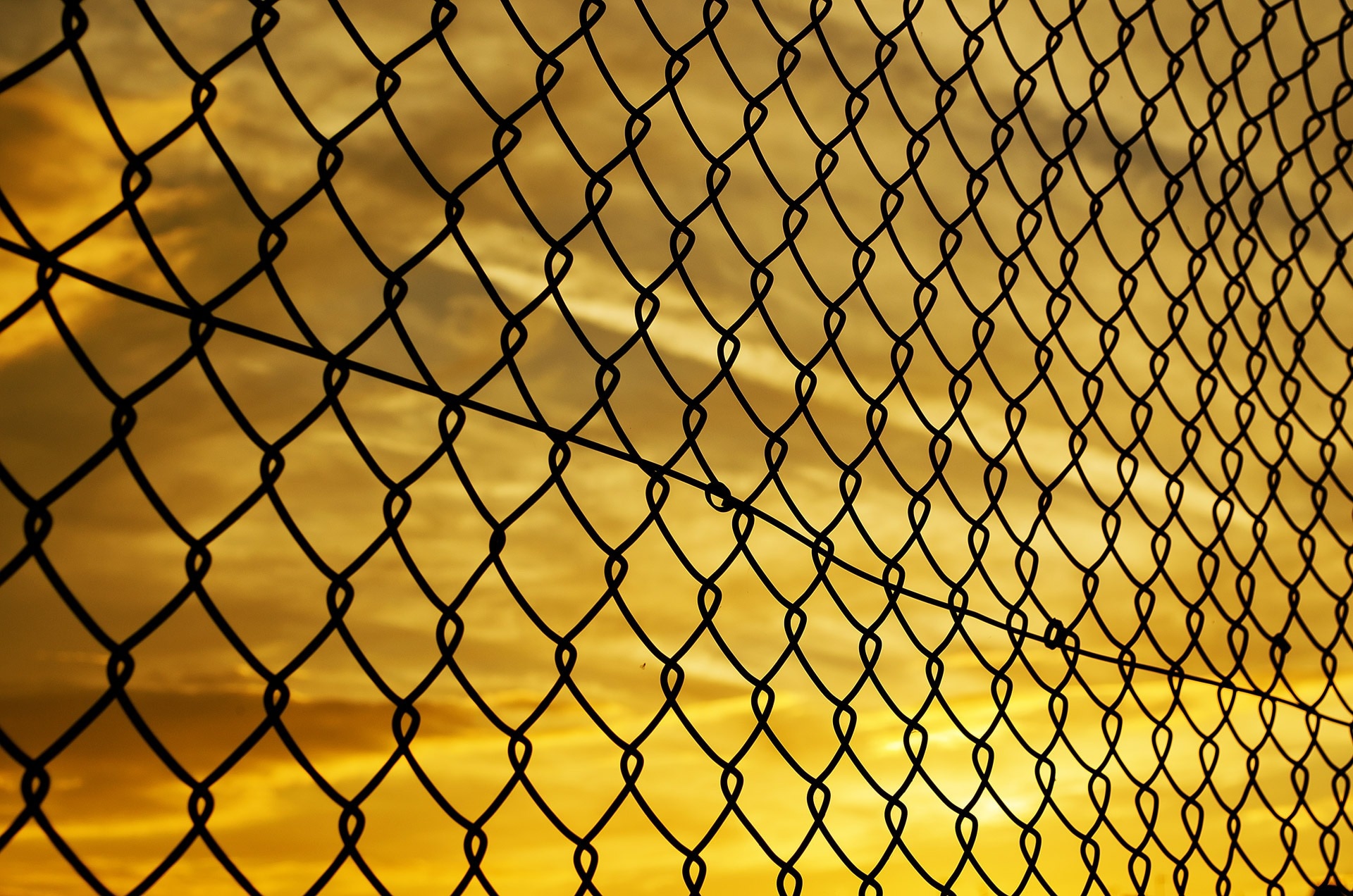 shallow focus photography of cyclone wire fence