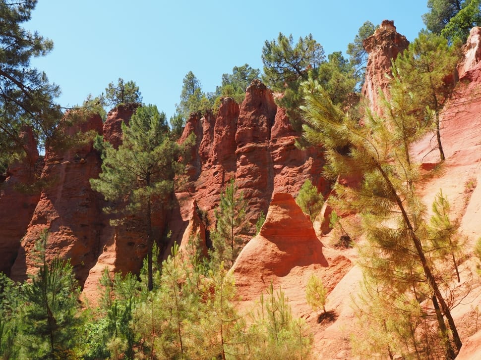 rock formation with green tall trees during daytime preview