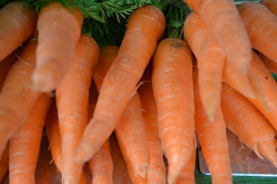 carrot lot preview