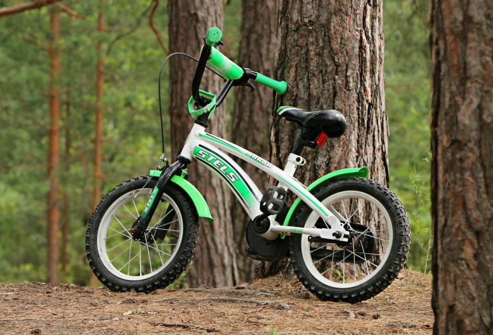 children's green and white bicycle preview