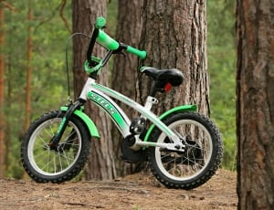 children's green and white bicycle thumbnail