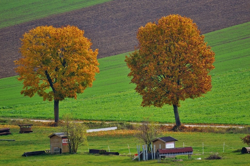 houses and trees on green open field during daytime preview