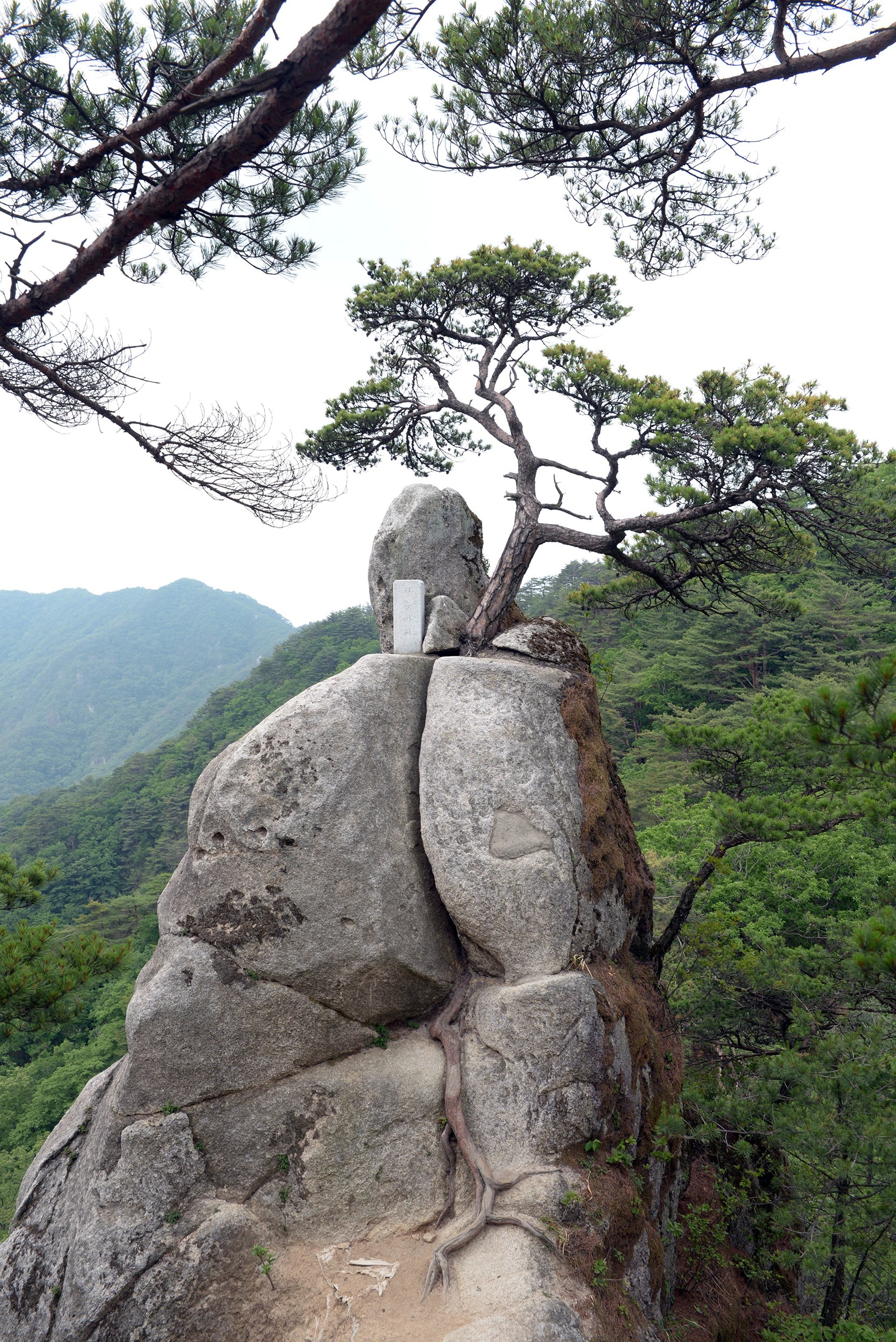 Rock, Ohbongsan, Root, Stone, Valley, tree, no people