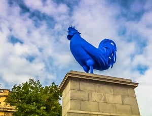 blue rooster concrete statue thumbnail