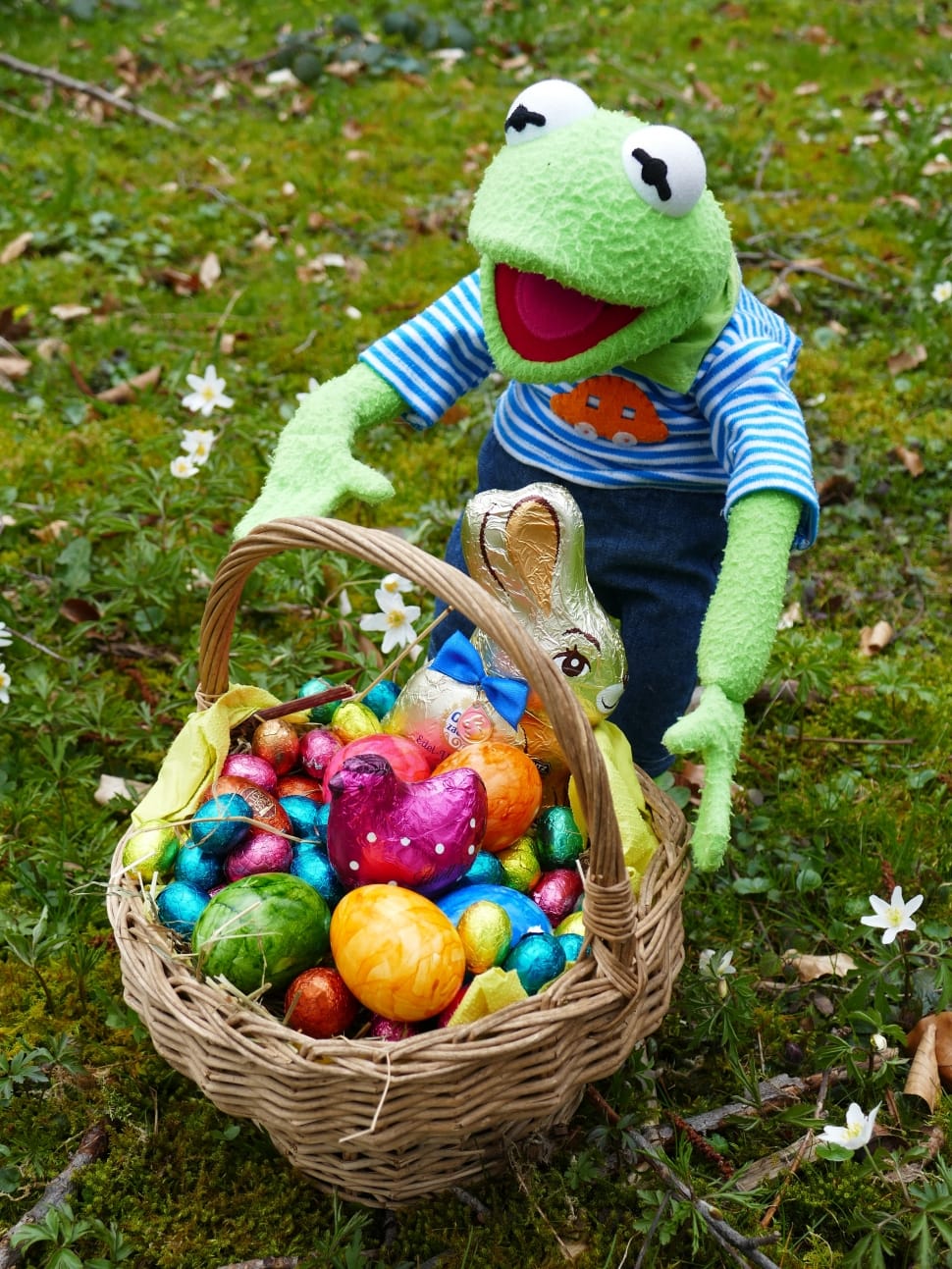frog with easter egg decor preview