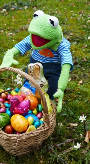 frog with easter egg decor thumbnail
