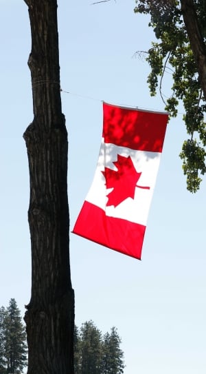 canadian flag thumbnail