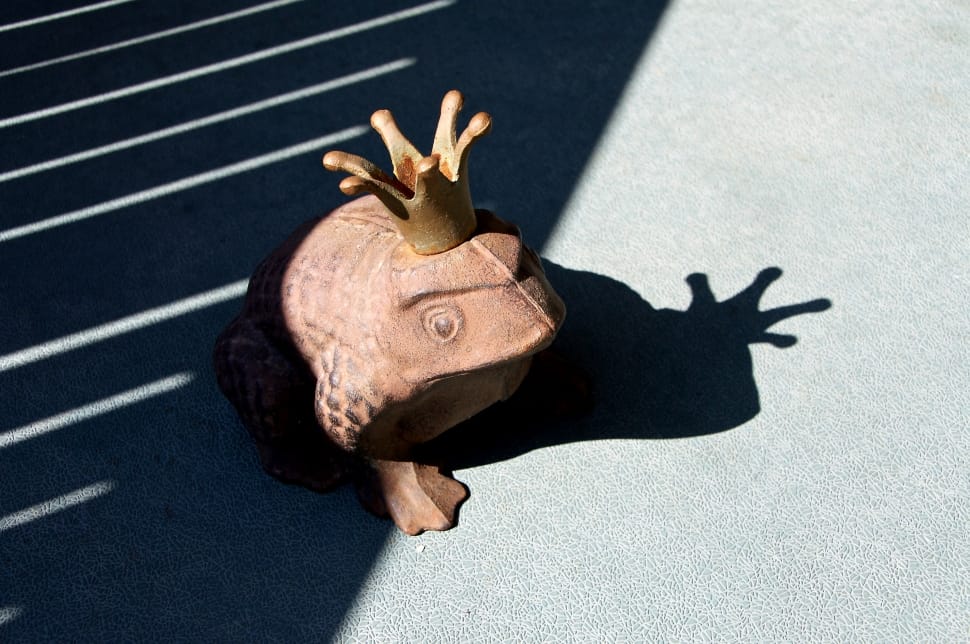 brown wooden toad with crown decor preview