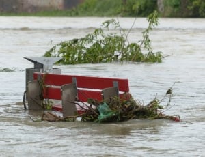 bench on the middle of flood with floating plants thumbnail