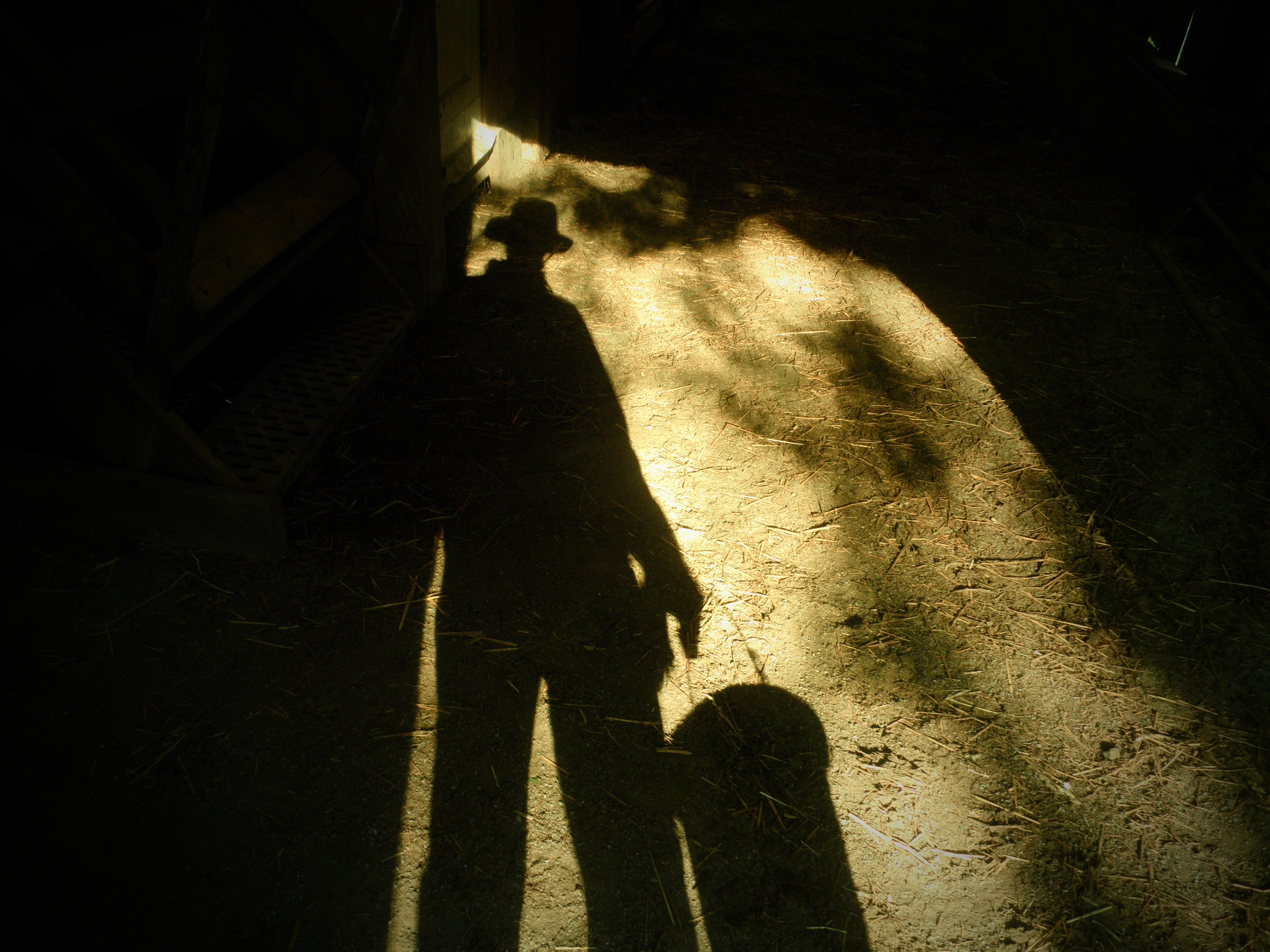 human shadow