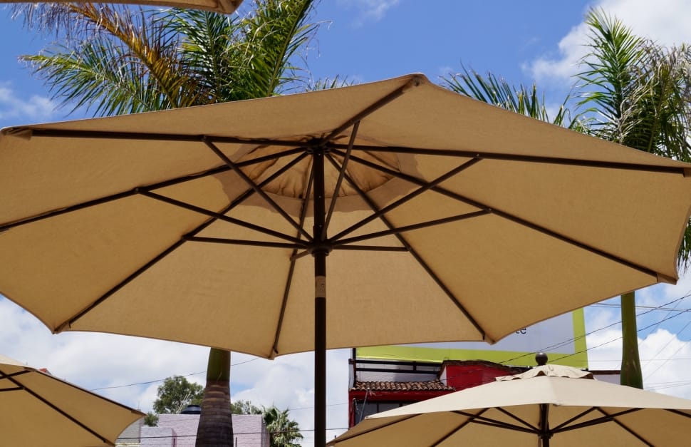 white and black patio umbrella during daytime preview