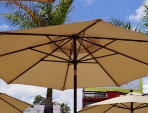 white and black patio umbrella during daytime thumbnail