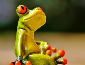 Animal, Frog, Fig, Thoughts, Cute, Funny, food and drink, green color thumbnail
