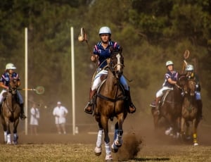 person playing polo riding a brown horse on green field free image - Peakpx