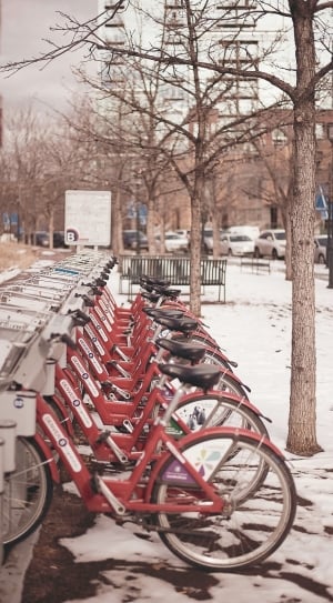 Bikes, Winter, City, Denver, Bicycles, no people, outdoors thumbnail