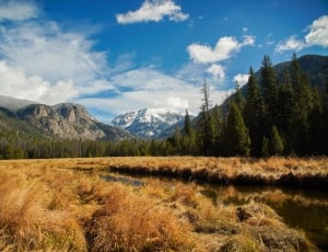 beige grass field near trees and mountains thumbnail