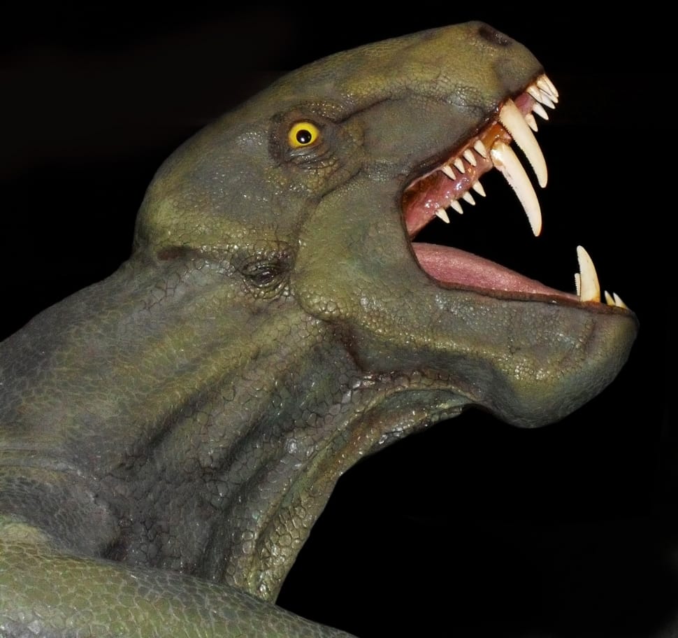 dinosaur photo preview