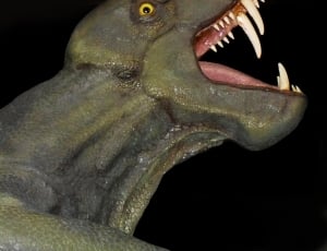 dinosaur photo thumbnail