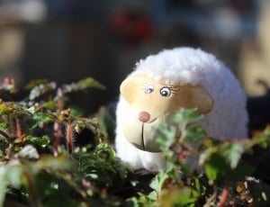 white and brown sheep plush toy thumbnail