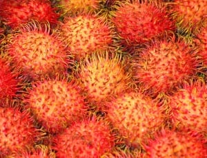 rambutan fruit thumbnail