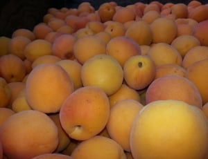 peach fruit thumbnail