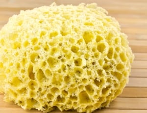 yellow coral thumbnail