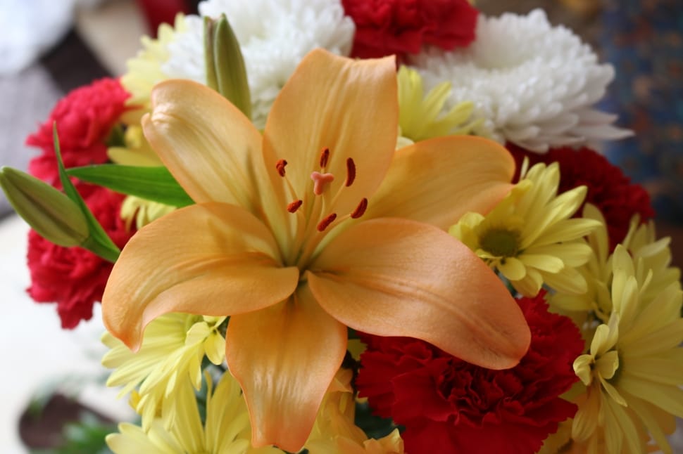 yellow, red and white assorted flowers preview