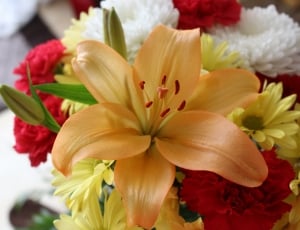 yellow, red and white assorted flowers thumbnail
