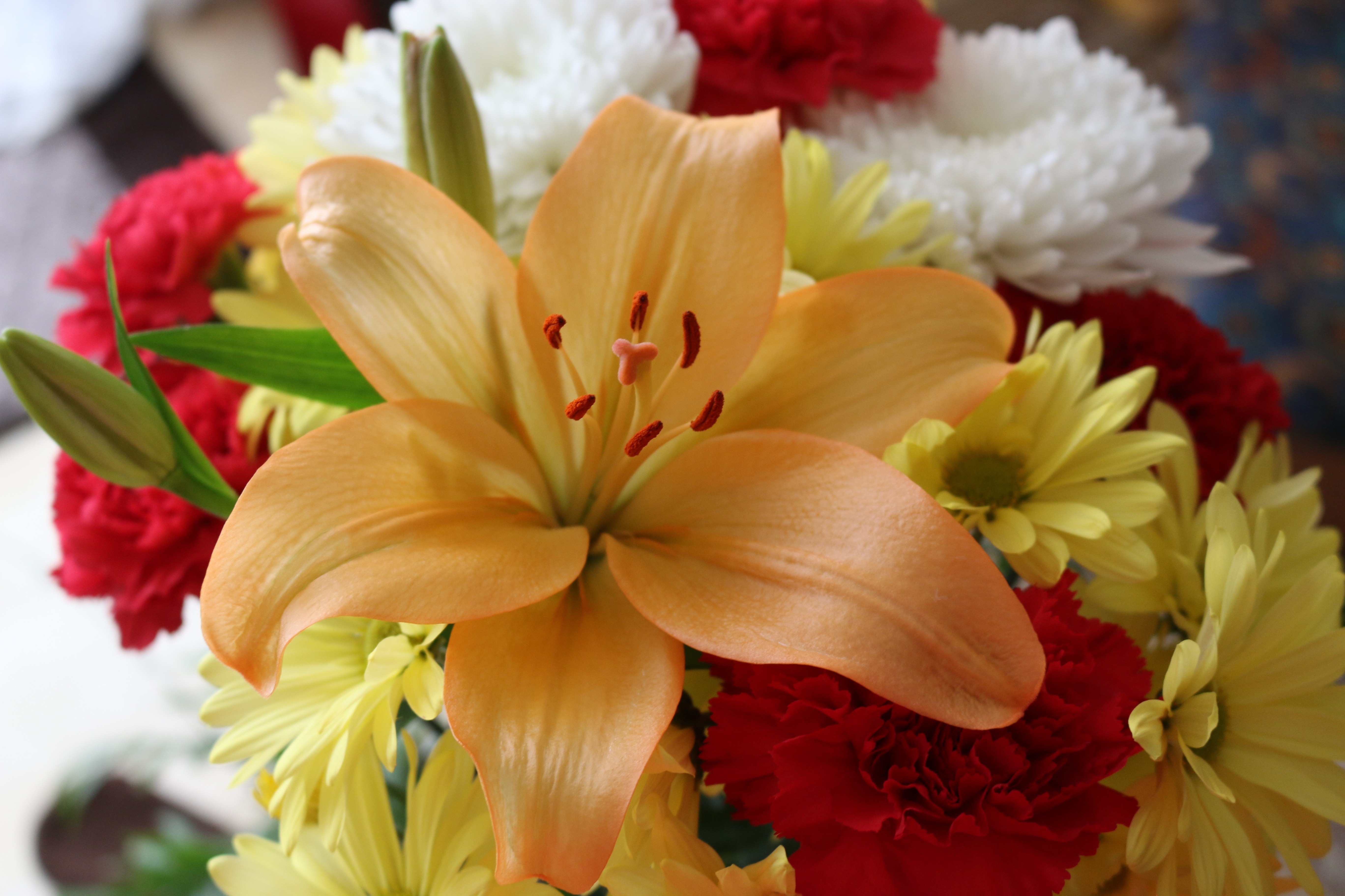 yellow, red and white assorted flowers