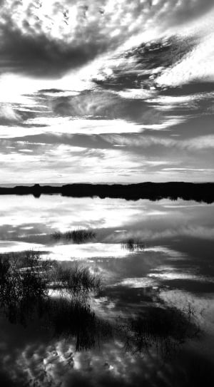 gray scale photo of body of water thumbnail