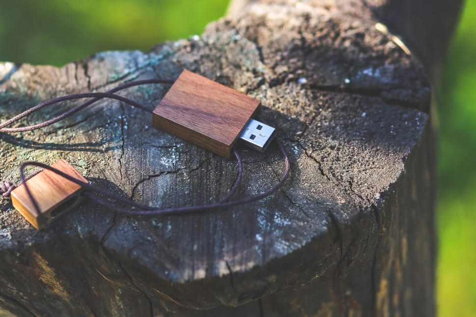 Flash, Drive, Wooden, Wood, Usb, Pen, day, human body part preview