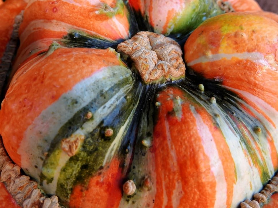 Autumn, Pumpkin, Decoration, Gourd, pumpkin, vegetable preview