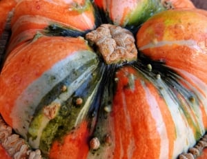 Autumn, Pumpkin, Decoration, Gourd, pumpkin, vegetable thumbnail