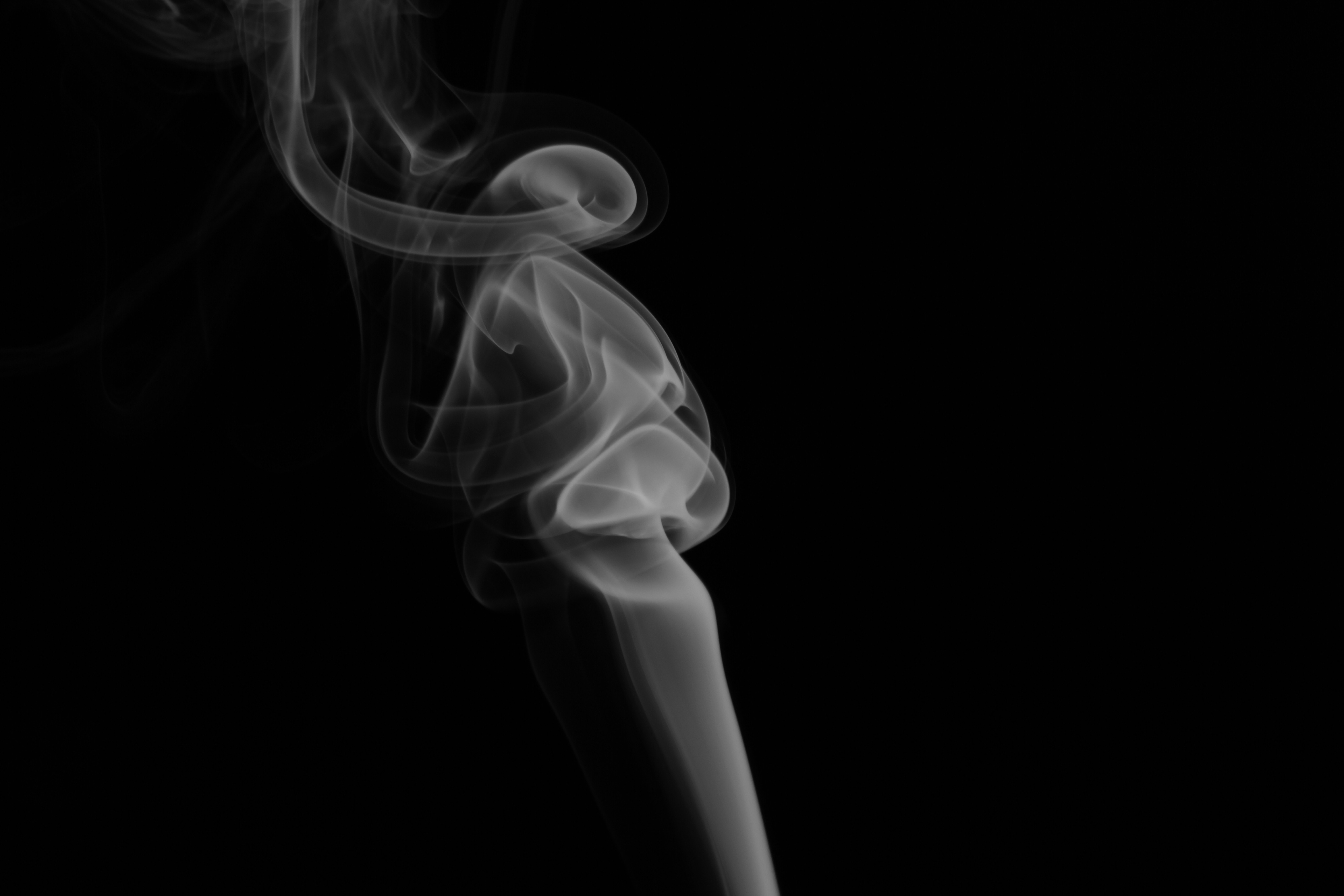 Steam smoke pipe фото 65