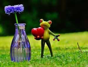 Vase, Love, Valentine'S Day, Frog, grass, no people thumbnail