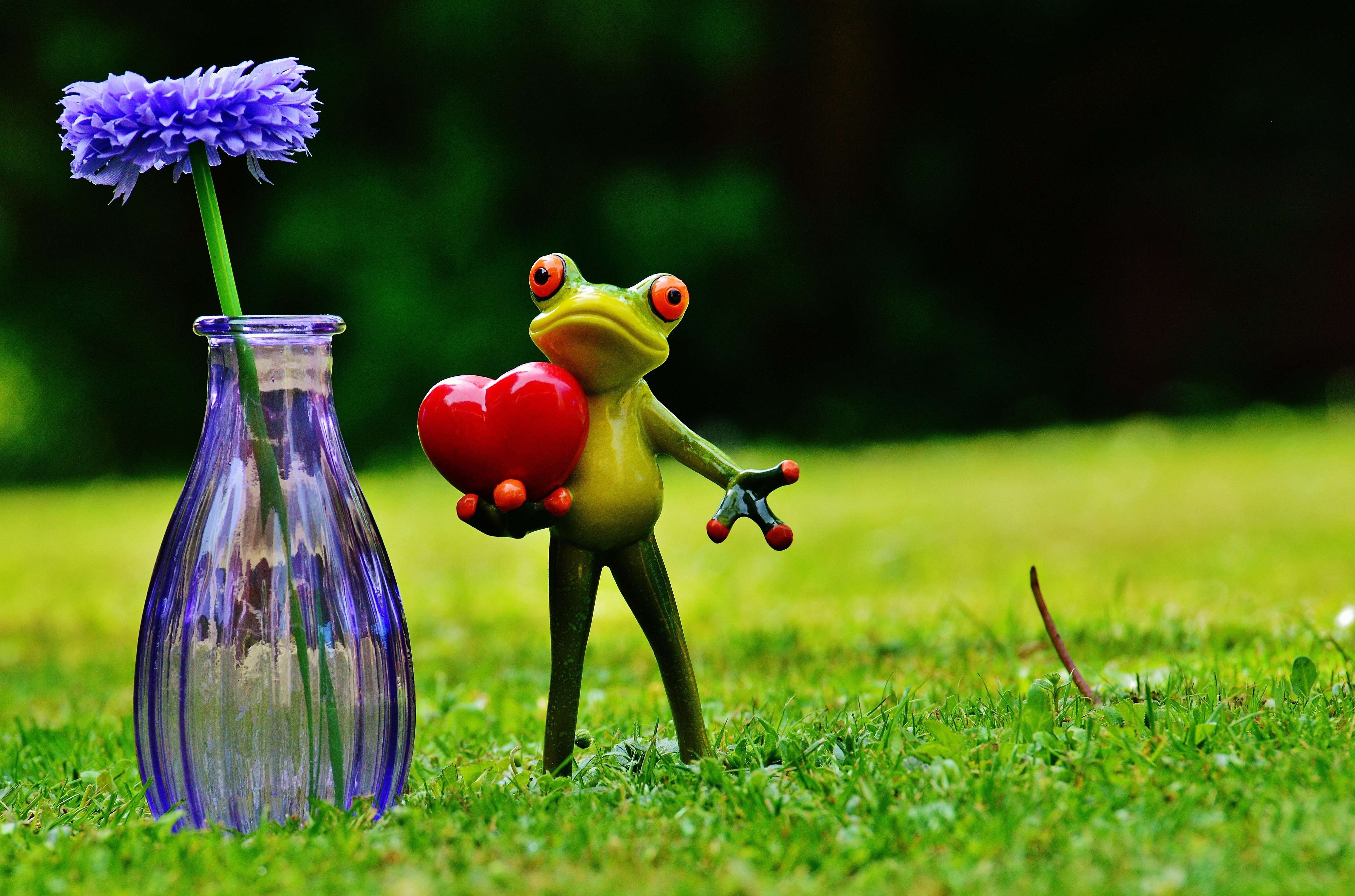 Vase, Love, Valentine'S Day, Frog, grass, no people