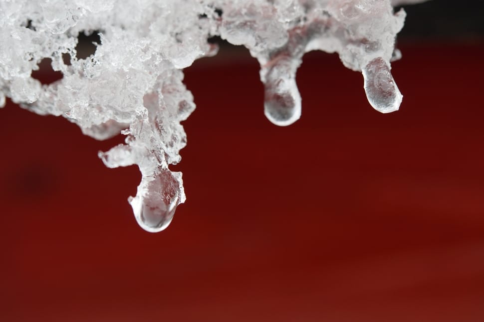 Winter, Defrost, Drip, Wintry, Snow, Ice, colored background, red preview