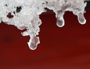 Winter, Defrost, Drip, Wintry, Snow, Ice, colored background, red thumbnail