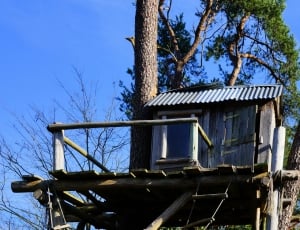 beige wooden tree house thumbnail
