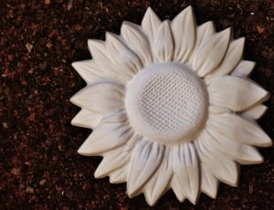 white petaled flower decor thumbnail