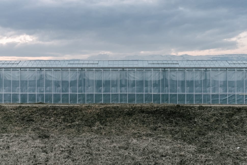 greenhouse under gray sky preview