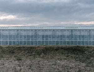 greenhouse under gray sky thumbnail