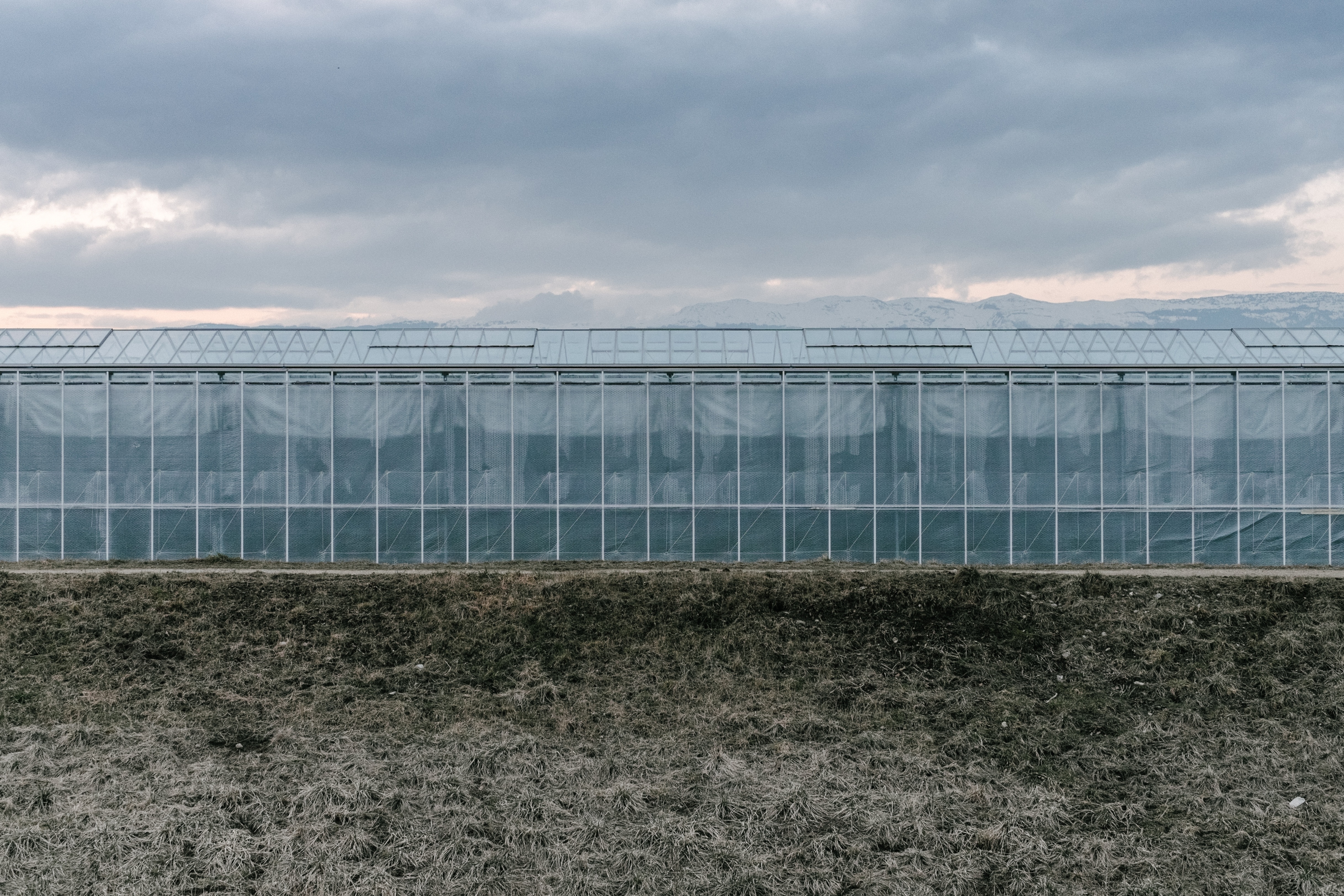 greenhouse under gray sky