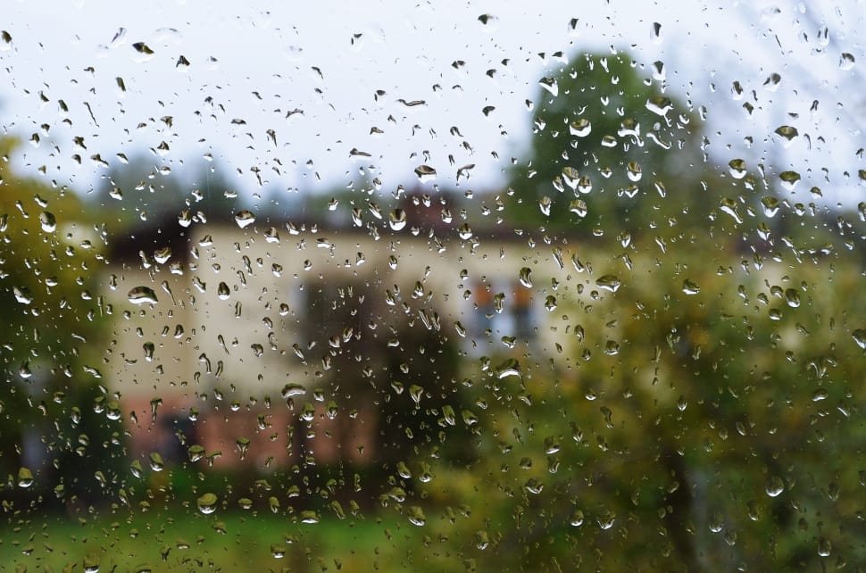 Drops, Drops Of Water, Rain, window, drop preview
